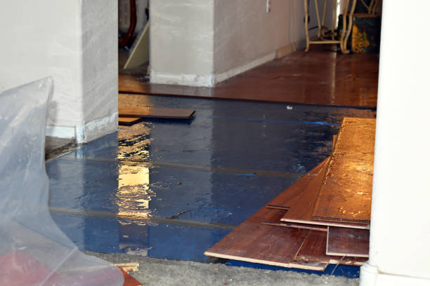 Professional Structural Drying technician working in Harcourt, IA